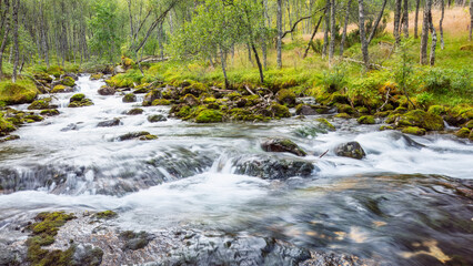 Flowing mountain river surrounded by lush greenery and moss-covered rocks in a tranquil forest setting. Suitable for wall art, prints, and digital displays. North Norway