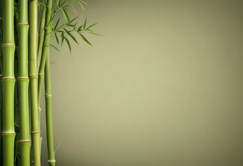 Obraz premium bamboo background with space for text