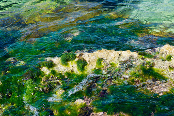 Coast landscape with stony beach with seaweed and flowing water on the island Malta.