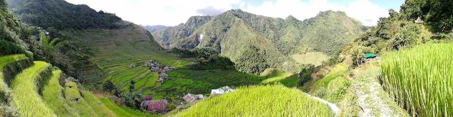 Fototapeta premium Rice Terraces of the Philippine Cordilleras, rice fields in Banaue region,Philippines ,Asia, rice production traditional agriculture,World Heritage Site consisting of a complex of rice terraces 