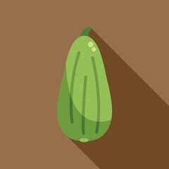 Green zucchini squash with long shadow, healthy food, raw ingredient, vegetarian diet, summer harvest