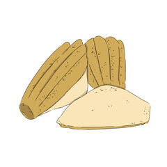 Madeleine cookies food baking color illustration