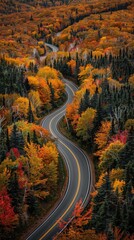 Fototapeta premium Autumn Mountain Road Amidst Vibrant Foliage