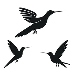 a series of birds with one that has the number 3 on it