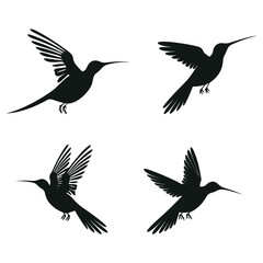 Obraz premium a series of birds with one that has the number 3 on it