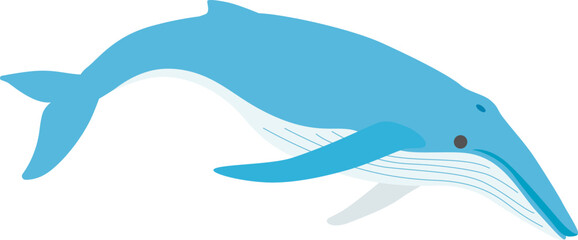 クジライラスト デフォルメ3
ザトウクジラをデフォルメイラストで可愛く描きました。