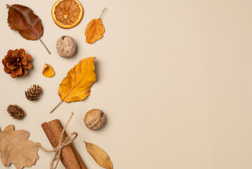 Autumn background with leaves, nut, cones, dried fruits, cinnamon sticks on beige background. Top view, copy space