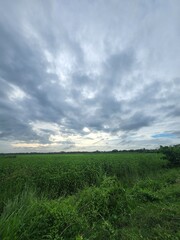Obraz premium clouds over the field