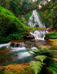 Obraz premium Bellísima cascada natural y bosque verde