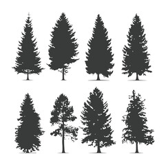 Fototapeta premium set of Silhouette black of pine tree illustration ,generative ai