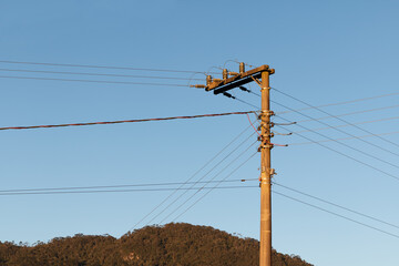 Photo of power pole in late afternoon.