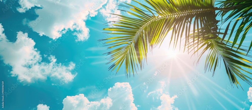 Aufkleber a scenic summer scene with palm leaves against a blue sky with fluffy clouds on a sunny day ideal fo