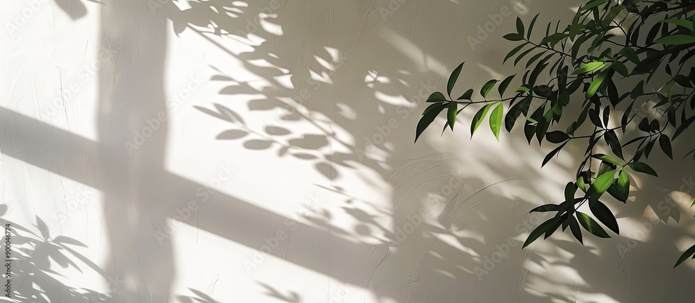 Poster morning sunlight casting shadow from the window onto a white wall with interior details adding an in