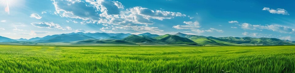 Fototapeta premium Breathtaking Panoramic Natural Landscape: Lush Green Meadow Under Vibrant Blue Sky with Fluffy Clouds and Majestic Mountains. Idyllic Scenery Perfect for Relaxation, Outdoor Adventure, and Environment