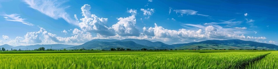 Obraz premium Breathtaking Panoramic Natural Landscape: Lush Green Meadow Under Vibrant Blue Sky with Fluffy Clouds and Majestic Mountains. Idyllic Scenery Perfect for Relaxation, Outdoor Adventure, and Environment