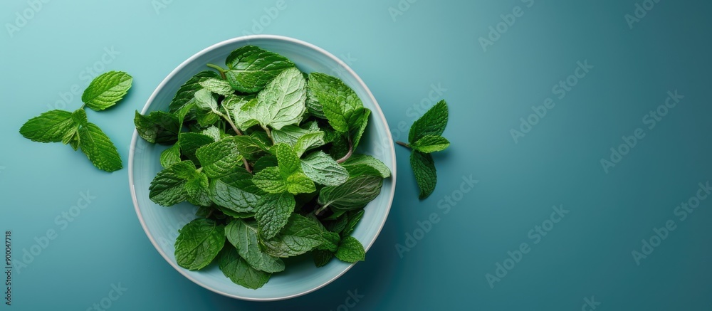 Poster blue backdrop hosts a bowl of fresh mint leaves with ample copy space image