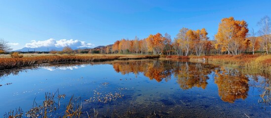 Fototapeta premium Biei s autumnal pond mirrors the blue sky offering a tranquil scene with potential for copy space image