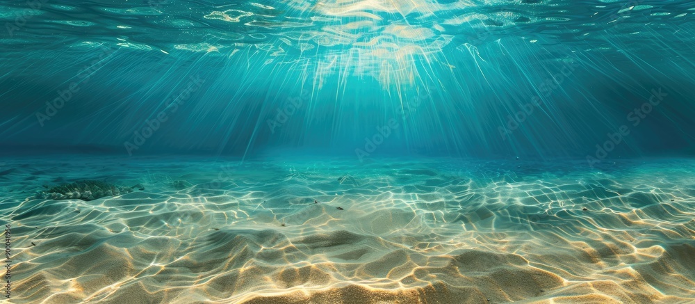 Poster Underwater background with a sandy sea bottom ideal for copy space image