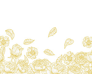 Fototapeta premium Hand Drawn Peony Rose Flower and Leaves Background