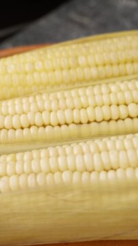 Vertical food video, elotes a traditional food in mexico