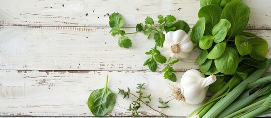Various green herbs like sorrel tarragon and turnip cabbage leaves paired with a garlic bulb resting on a white wood background creates a serene copy space image