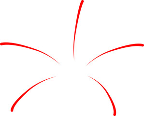 Firework party vector