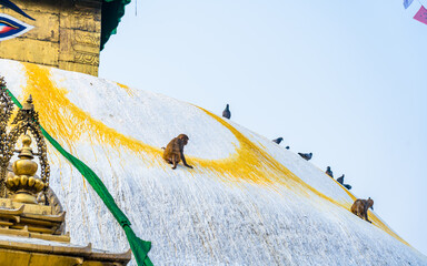 Landscape view of Soyambhunath stupa in Kathmandu, Nepal.