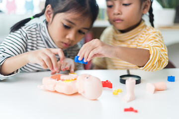 two sibling Playing Anatomy studies for kids. Human body organs and skeleton parts toy. Learning medical terms, order and location of each part. at home.