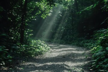 Fototapeta premium Summer journey on a nature walk highlights scenic paths with sunlight filtering through dense forests, presenting an ultramodern, supernatural scene, banner, with copy space