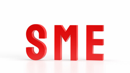 The sme text for Business concept 3d rendering.