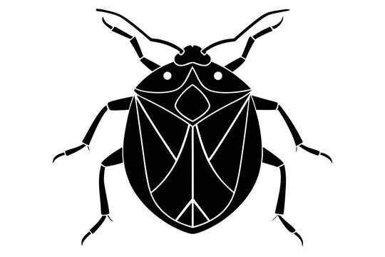 recommend clip art: Stink bug silhouette vector illustration 