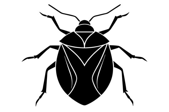 recommend clip art: Stink bug silhouette vector illustration 