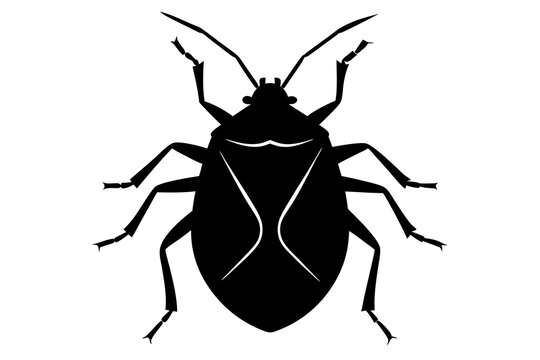 recommend clip art: Stink bug silhouette vector illustration 