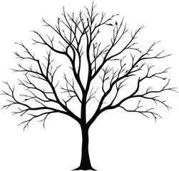 Silhouette of a bare tree
