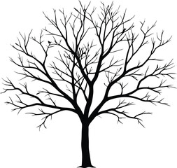 Silhouette of a bare tree