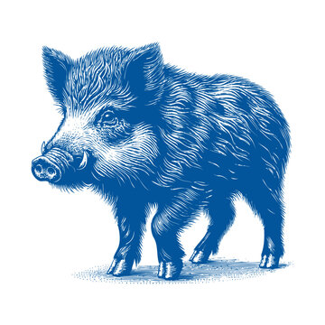 recommend clip art: wild boar vector, hog vector, pig vector