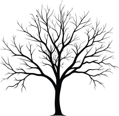 Obraz premium Silhouette of a bare tree