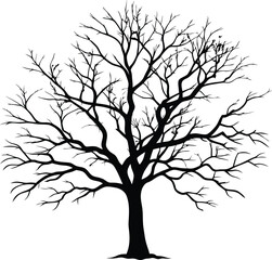 Obraz premium Silhouette of a bare tree