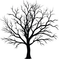 Obraz premium Silhouette of a bare tree