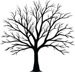 Obraz premium Silhouette of a bare tree