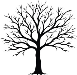 Obraz premium Silhouette of a bare tree