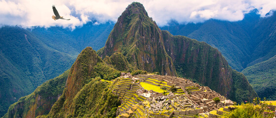 マチュピチュ古代遺跡上空を飛ぶ鷲