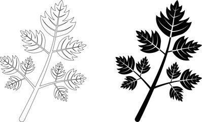 outline silhouette Coriander leaf icon set