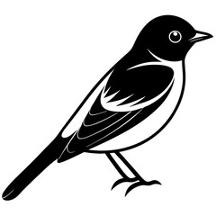 silhouette of a bird vector illustration