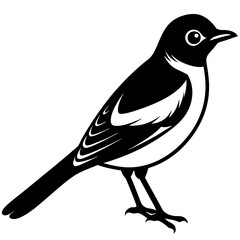 silhouette of a bird vector illustration