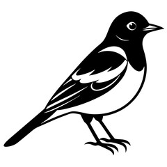 silhouette of a bird vector illustration