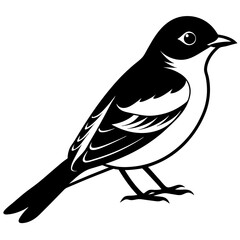 silhouette of a bird