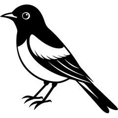 silhouette of a bird vector illustration