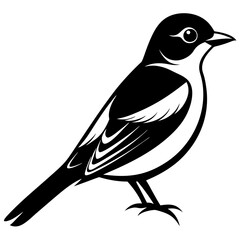 illustration of a bird icon silhouette vector