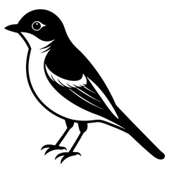 illustration of a bird icon silhouette vector